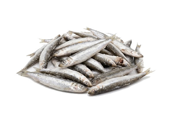 Cornalitos