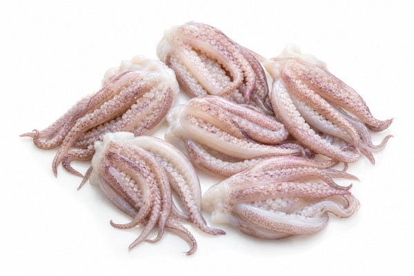 Tentáculos de Calamar